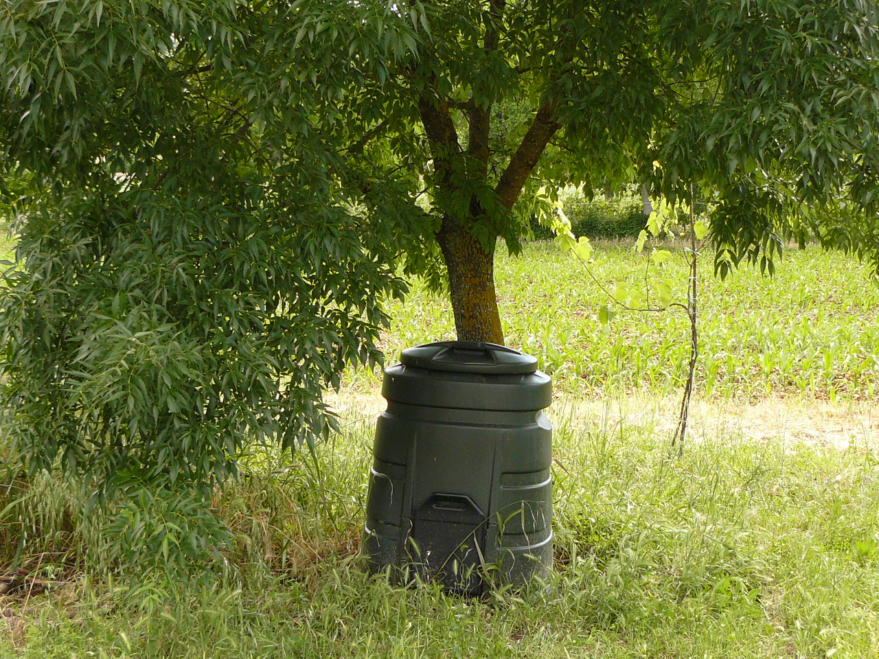 Compostiera sotto l'albero